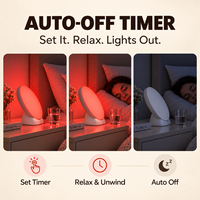 Lampu Malam LED Hadiah yang Bagus dengan 5 Mode Warna, Peredupan 5 Tingkat, Timer, Lampu Aksen Dekoratif untuk Kamar Tidur Ruang Tamu
