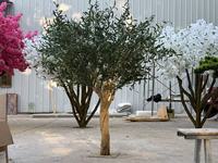 Arbres artificiels en fibre de verre et métal, faux oliviers noirs, grands, faits à la main, petites plantes artificielles avec base pour la décoration intérieure