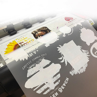 OEM/ODM personalizado A3 + hoja de película de transferencia Dtf rollo de película Dtf 33cm 45cm 60cm para impresiones Dtf Impresión de etiquetas de transferencia de calor
