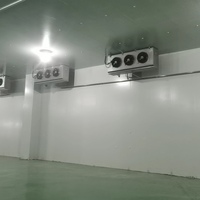 Chambre froide industrielle clé en main en conteneur, congélateur à construction métallique, hygrostat réglable, nouvelle génération, faible bruit, facile à utiliser