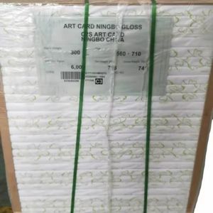 Cartón Blanco Recubierto Ecológico de Precio Económico, Tamaño Personalizado de Fábrica, Papel FBB de 170-400 g/m² para Marcos de Fotos - Product Image 2