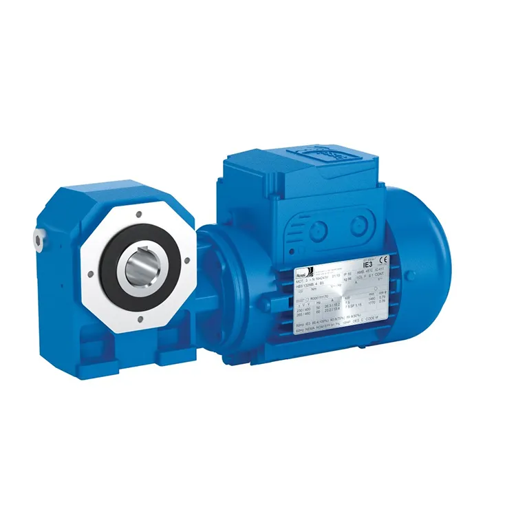 Professional Manufacturer Rossi As Series 6 Sizes Small Size Gearmotors
