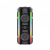 Haut-parleur Portable pour l'extérieur, système Dj, caisson de basses, boîte de son avec lumière Led