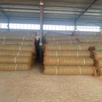 Géotextile en fibre de coco pour le contrôle de l'érosion, géotextile en fibre de coco et jute pour la protection écologique des pentes vertes