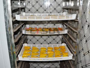 FLYsunun เครื่องอบแห้งผลไม้, เครื่องอบแห้งถาดผลไม้แปะก๊วยปรับแต่งได้อุปกรณ์อบแห้งถั่ว - Product Image 2