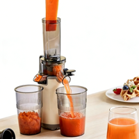 Elektrische slowjuicer-extractor Machine Hoog rendement roestvrij staal 300 ml capaciteit Vruchtensapmaker voor thuis commercieel gebruik