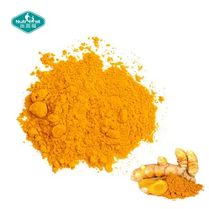 Pure Kurkuma Curcuma Longa Extract Organische Curcumine Poeder Kurkuma Wortel Extract Met Bioperine 95% Curcuminoids