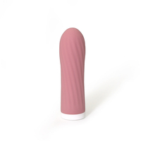 Mini Bullet Vibrator für Frauen Wiederaufladbar Wasserdicht IPX6 G-Punkt-Stimulation mit 10 Geschwindigkeitsmodi