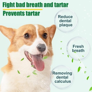 ग्रीन टी निकालने के साथ सभी नस्लों के लिए कारखाने प्रत्यक्ष पालतू पूरक और विटामिन दंत सफाई पाउडर कुत्ते दंत चिकित्सा - Product Image 2