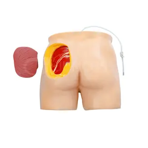 Modèle de simulation de l'injection anatomique de la hanche