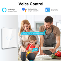 Interruptor de Luz Táctil Inteligente para el Hogar Bingoelec con Certificación CE y RoHS, Panel Táctil Wifi con Indicador LED