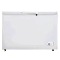 Congélateur coffre commercial à double porte en acier inoxydable de grande capacité pour supermarché avec contrôle par application pour aliments congelés, poisson, crème glacée