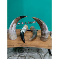 Nouveau design corne à boire naturelle haute vente corne de boeuf, de vache et de buffle corne à boire viking à bas prix agate par M R S EXPORTS