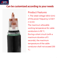 Cable de Cobre Libre de Oxígeno de Media Tensión, Aislamiento XLPE, Flexible, YJV22-0.6/1kV, 4 Núcleos