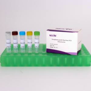Kit TOX PCR Sonde fluorescente pour la détection de l'ADN de Toxoplasma gondii-Certifié CE, 50 <span class=keywords><strong>tests</strong></span>/kit - Product Image 1