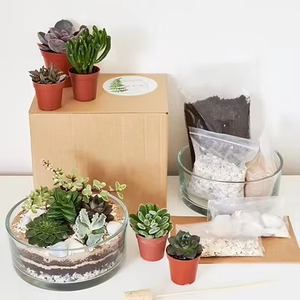 Modern DIY Succulent Handcraft <strong>Terrarium</strong> <strong>Kit</strong> for Home Decoration - Product Image 1