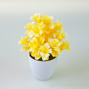 Yopin-2329 - Product Image 6