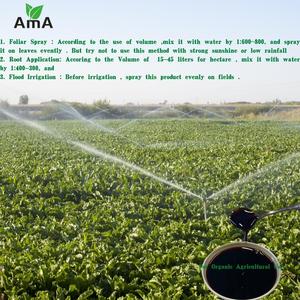 Kein Salz (frei Cl) Aminosäuren Flüssigkeit Bio stimulans Reine Aminosäuren Organischer Stickstoff dünger - Product Image 3