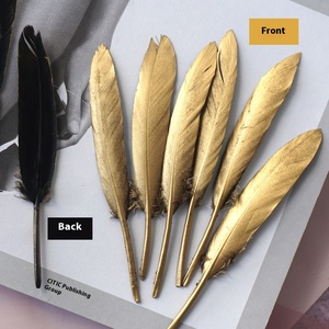 Piume d'Oca Soffici di Alta Qualità all'Ingrosso per Artigianato e Decorazioni Matrimoniali - Product Image 1