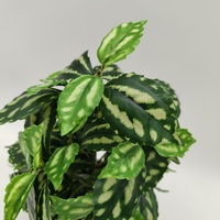 Plantes artificielles en pot en plastique OEM pour comptoir, Monstera en pot de céramique, décoration moderne pour jardin et maison, vert, très vendues en Europe
