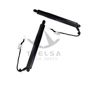 Ttelsa điện <span class=keywords><strong>Hatchback</strong></span> Lift hỗ trợ thay thế strut được thiết kế cho tailgates an toàn và kiểm soát 1500601-00-a mô hình y - Product Image 2