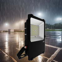Projecteur LED YOUWIN 3030 SMD pour stade et tennis, 50W AC, certifié CE, IP65, blanc chaud, boîtier en PC, lentille en aluminium, CRI80, haute luminosité