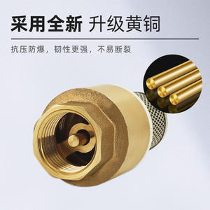 All-Copper Thickened DN15 Vertical Check Valve Filter Screen 25 <b>Foot</b> One-Way Water Well <b>Pumps</b> for Oil Media 4/6/10 <b>Foot</b> Valve - Product Image 4