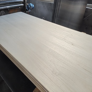 <span class=keywords><strong>Tavole</strong></span> <span class=keywords><strong>in</strong></span> <span class=keywords><strong>Legno</strong></span> di Paulownia Premium Senza Deformazioni per Progetti di Falegnameria Personalizzati e di Contratto - Product Image 2