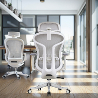 Chaise de bureau ergonomique en maille à dossier moyen, nouveau produit Foshan, avec fonctions réglables, design moderne