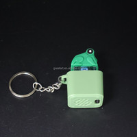 Porte-clés Fidget Grenouille Grinch LED RGB en PVC Rechargeable de Qualité Supérieure, Léger, Tendance Mode, avec Son de Clavier et Clic Vocal
