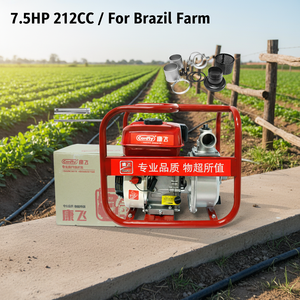 <span class=keywords><strong>Pompe</strong></span> à eau à piston à <span class=keywords><strong>essence</strong></span> 7,5 CV 212 CC haute pression pour l'irrigation agricole en ferme au Brésil - Product Image 1
