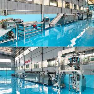 Planta de Procesamiento de Papas Fritas Congeladas, Semiautomática, Línea de Producción de Máquinas para Hacer Papas Fritas - Product Image 2