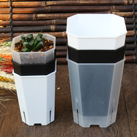 Pots en plastique transparent Macetas Pot Tall Slit Square pour la décoration de jardin à domicile, bonsaï, plantes succulentes, jardinières