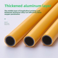 Tuberías Redondas Aisladas PEX de Alta Presión MG para Suministro de Agua Industrial, 16-32 mm, 100 m de Longitud, Certificación ISO9001 WARS, Modelo A001