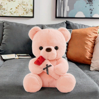 Valentijnsdag Teddybeer Pluche Speelgoed Hand met Rozen Gevuld Dierenknuffel Speelgoed voor Valentijnsdag Cadeaus Beer Rozen Pluche Speelgoed