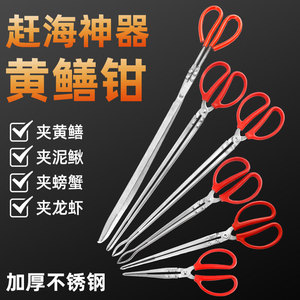 Pinces à anguilles en acier inoxydable Kyushu Garden, à mâchoires larges, droites et courbées, antidérapantes, outil de pêche pour anguilles, loches, crabes, homards - Product Image 3