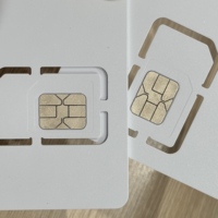 Carte SIM IoT mondiale ESINO, couverture dans 156 pays, forfait de données mensuelles de 30 Mo, connectivité d'entreprise stable et sécurisée