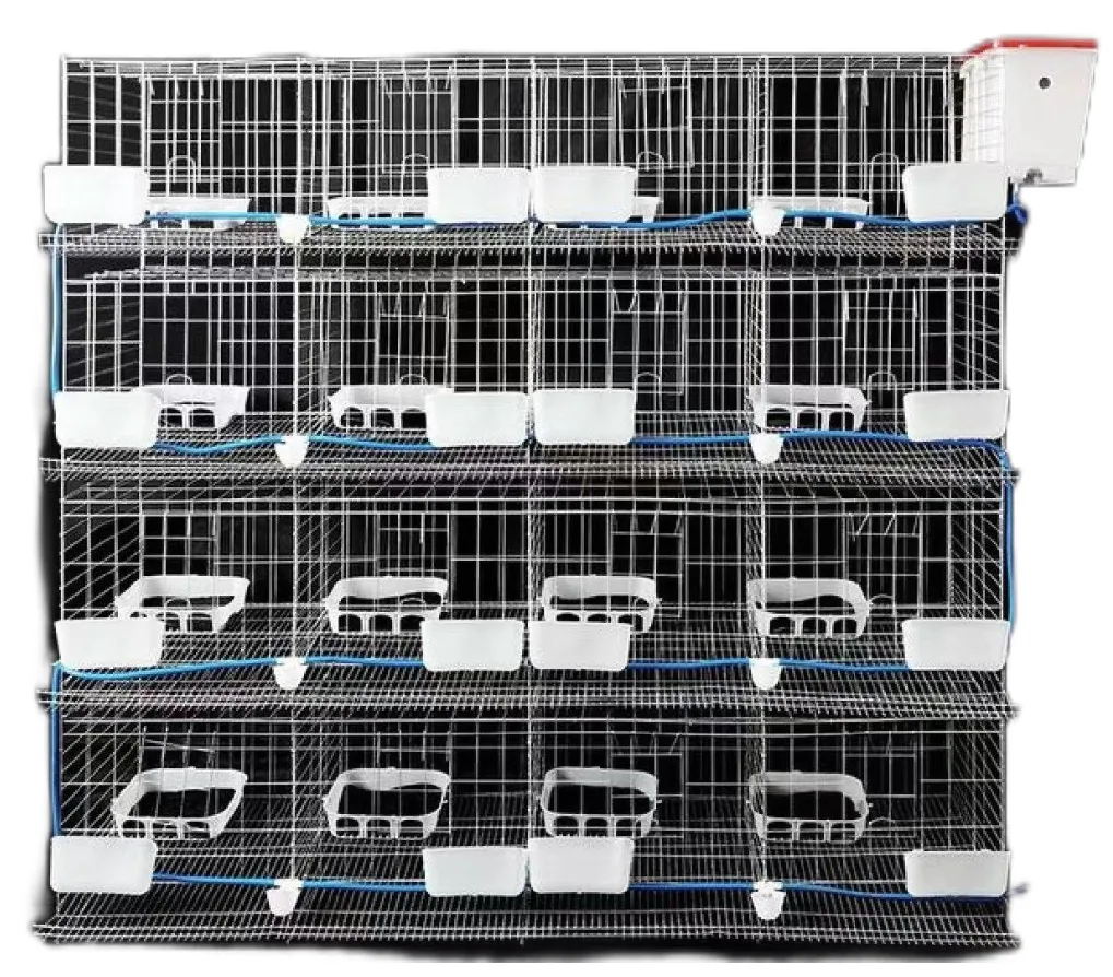 Nouvelle cage pour pigeons en acier de type H Cage d'élevage d'oiseaux en métal pour fermes