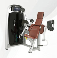 Machine de musculation pour biceps, équipement de salle de sport, de qualité supérieure, robuste, pour la musculation des bras