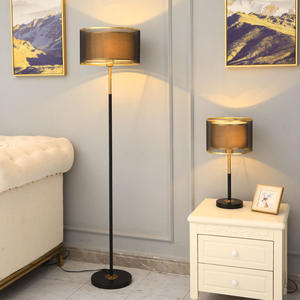 Luxurious <b>Nordic</b> Style Minimalist Floor Lamp for Living Room Bedroom Instagram-Worthy Stand Sofa Bed Simple Cozy <b>Bedside</b> - Product Image 1