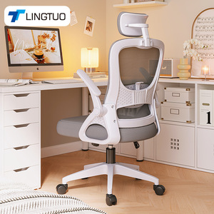 LingTuo Ergonomic Office Chair With Headrest And Lumbar Support For Home Office Study Swivel Mesh Seat W807 - Product Image 1