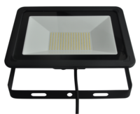 Proyektor Modul Pribadi Pabrik Banqcn China IP65 220V 110V 24V Lampu Sorot LED 50w untuk Pencahayaan Taman Luar Ruangan Bersertifikasi CE SAA ROHs