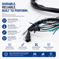Câble de Harnais PVC Personnalisé OEM ODM avec Conducteur en Cuivre Pur, Adaptateur Connecteur, Fabrication selon Vos Dessins, Conforme RoHS, IP44 pour