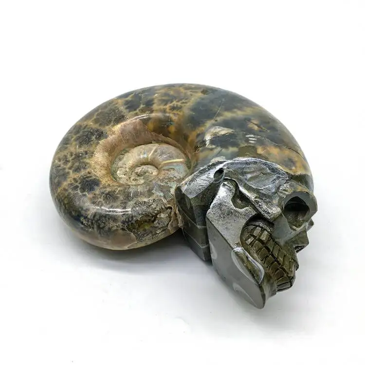 Wholesale Natural hand carved ammonite skulls crystal crafts pattern dark stone special skulls for decoration