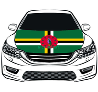 Housse de capot de voiture avec drapeau des Bermudes, protection personnalisée du capot moteur, en polyester extensible, résistante à la chaleur, durable, ajustement universel