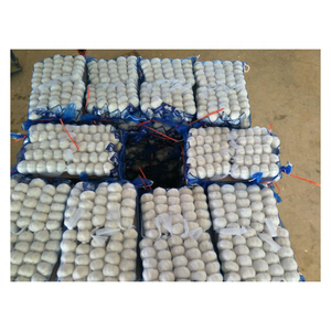 Compre ajo de paquete pequeño de Tianqin, venta al por mayor, ajo normal, ajo blanco puro, al mercado de exportación Dubái - Product Image 1