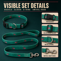 Ensemble laisse et collier pour chien Flamingo réfléchissant, directement de l'usine, en sangle polyester avec revêtement PVC, mousqueton pivotant, personnalisable, pour promenade de luxe