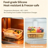 Nouvelles Tendances : Boîte à lunch en silicone haute transparence, compatible micro-ondes, boîte bento, récipient pour repas diététiques, boîte de conservation alimentaire