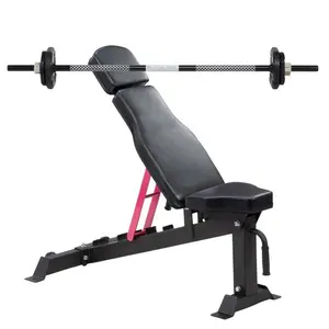 Adjustable Dumbbell Bench Foldable Weight Bench For Home Gym Workout Strength Training