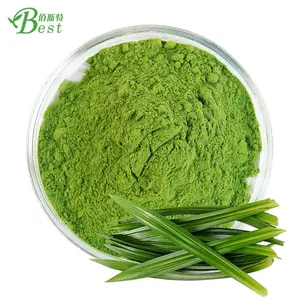 Estratto di foglie di Pandan di alta qualità Pandan in polvere alimentare biologico Moringa foglia in polvere estratto di erbe tamburo polvere Fine verde di grado superiore